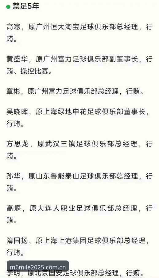 中国足协第三批禁足名单深度解析：17人终身禁赛背后的行业乱象与治理逻辑